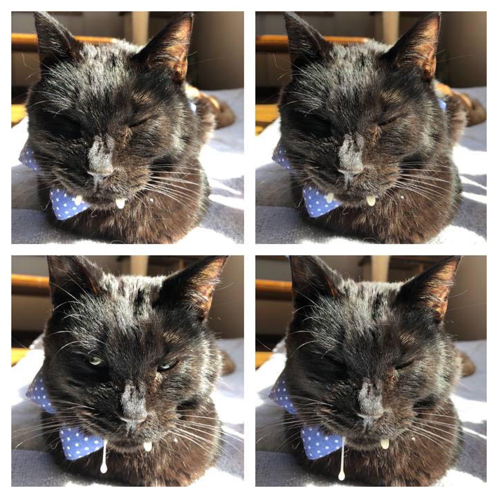 A52d0a12 cbca 494d 8476 bbe2a2687396 1555114356582