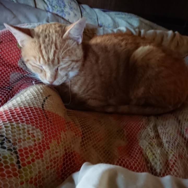 A52d1498 25a9 4ff8 874c e4a29f303263 1562705394236