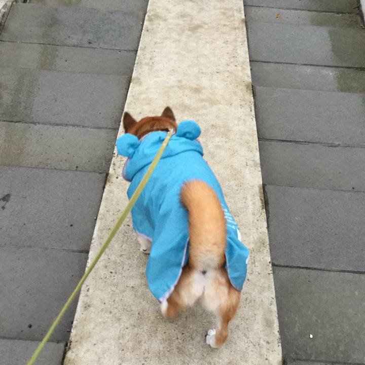 A52d1934 9322 4042 833e 87b2937dfef1 1632991421968