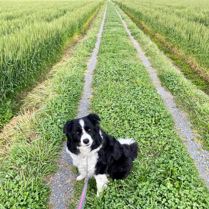 A52d2db2 fcea 43b6 9f41 71c3ce01b51a 1617838157394