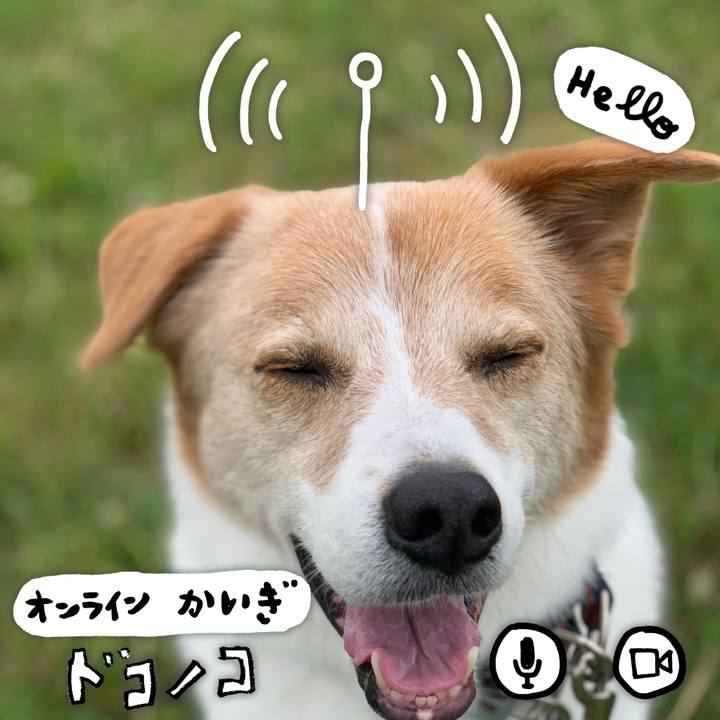 A52dbef4 2ec2 40d5 ab65 dd3703ddf26e 1590902107727