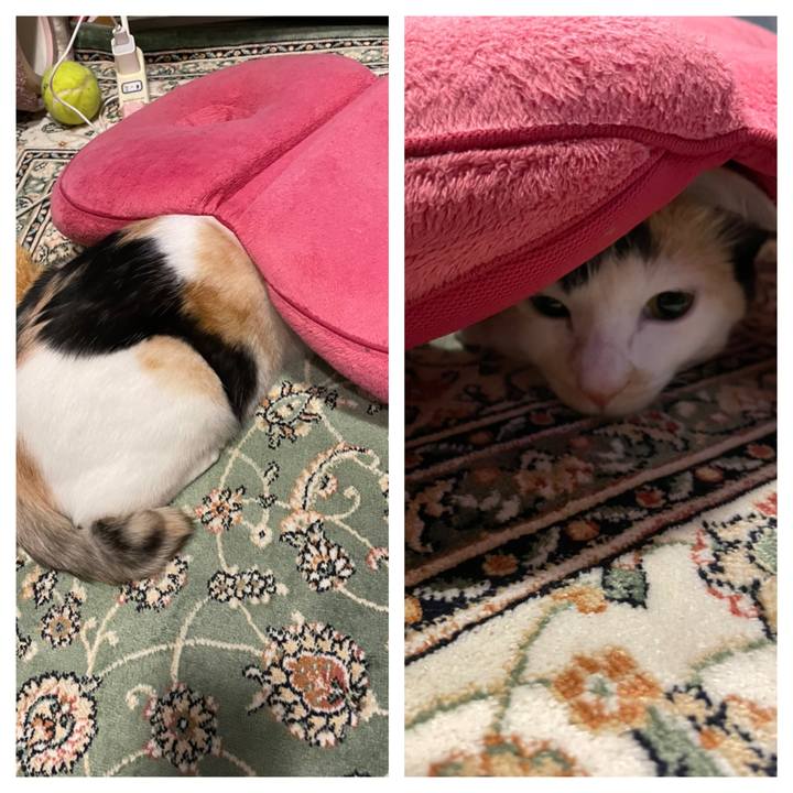 A52dd47a 530b 4cea b466 145728c95419 1675070890211