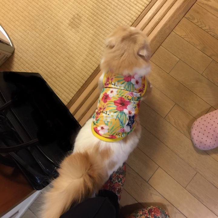 A52de8cb 3f49 49f3 87f0 ebe4399c4b16 1517135189375