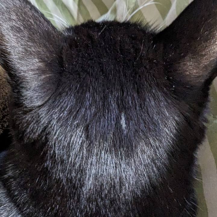 A52dfd42 0050 4b25 8af5 6246e56598dc 1710389339810