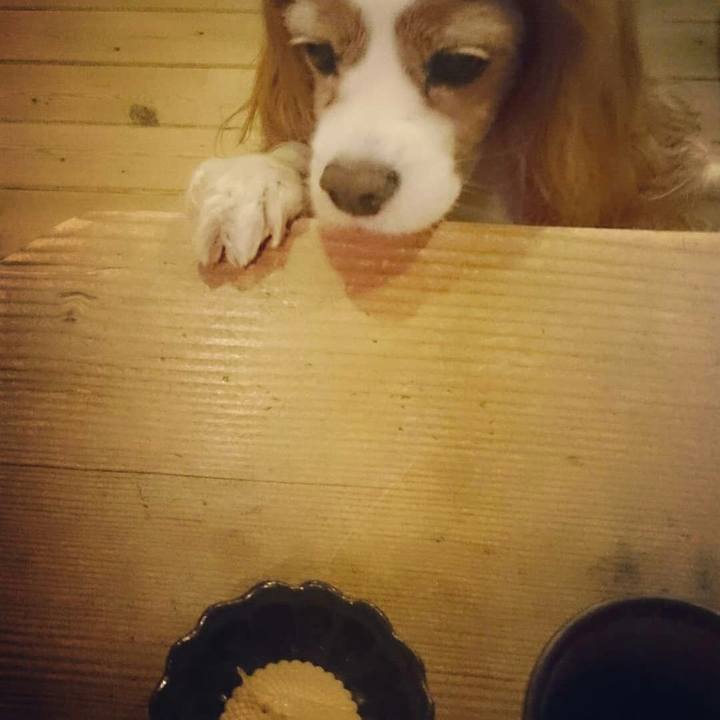 A52e0a69 7b83 4f5c 9c3e 933819eaeaeb 1525866384703