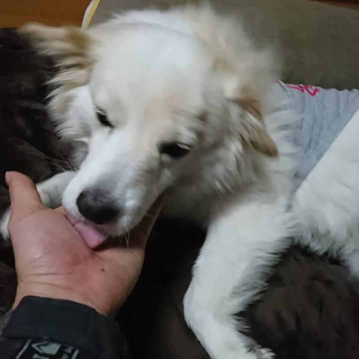 A52e9745 64b9 4a6b a1ac 3c30521e8aa2 1519421368474