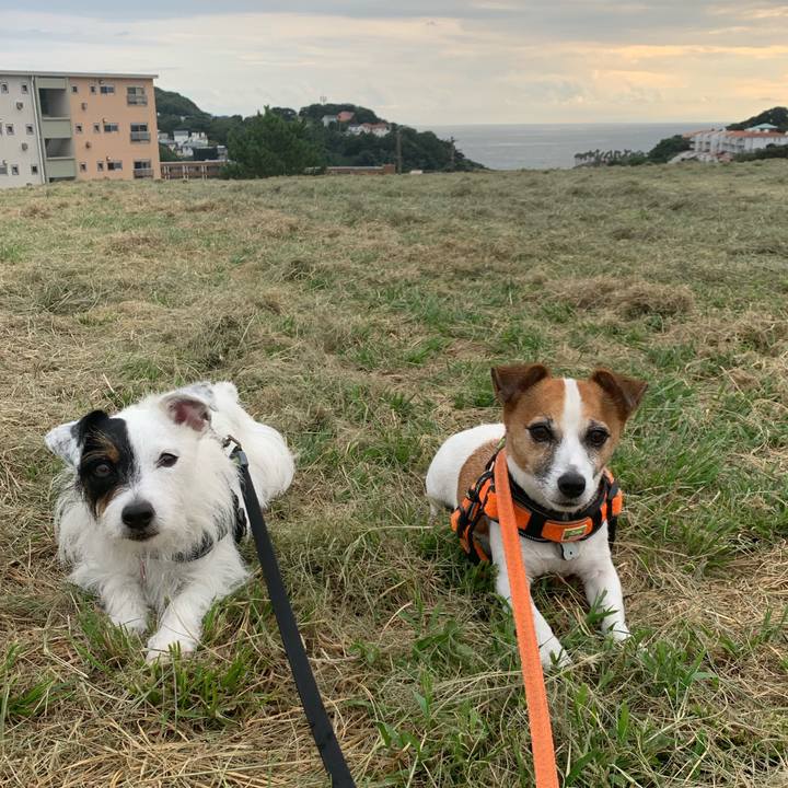 A52ec33d b8bc 442c 9bfe 39588f4f30fa 1600158298240