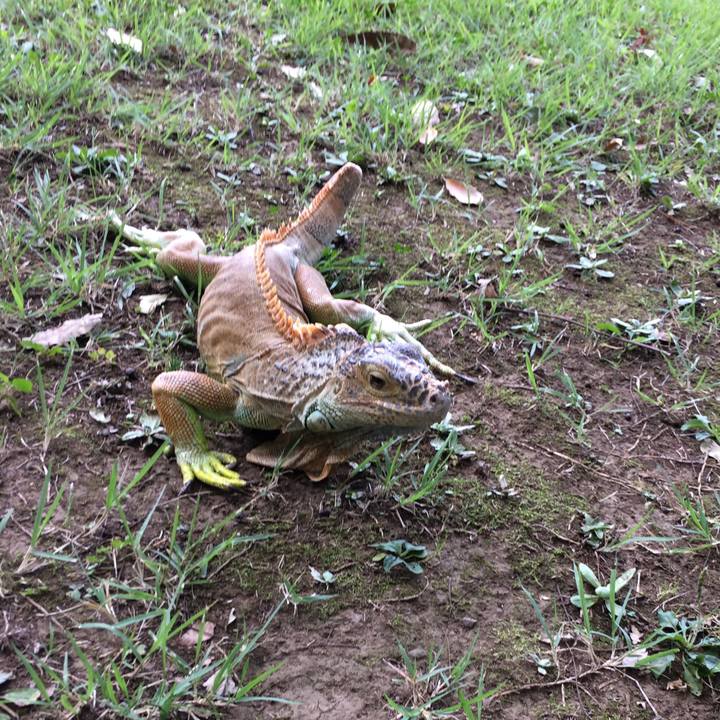 A52ecd0c b008 4ec1 b697 0f31ac61ab7d 1534654302992