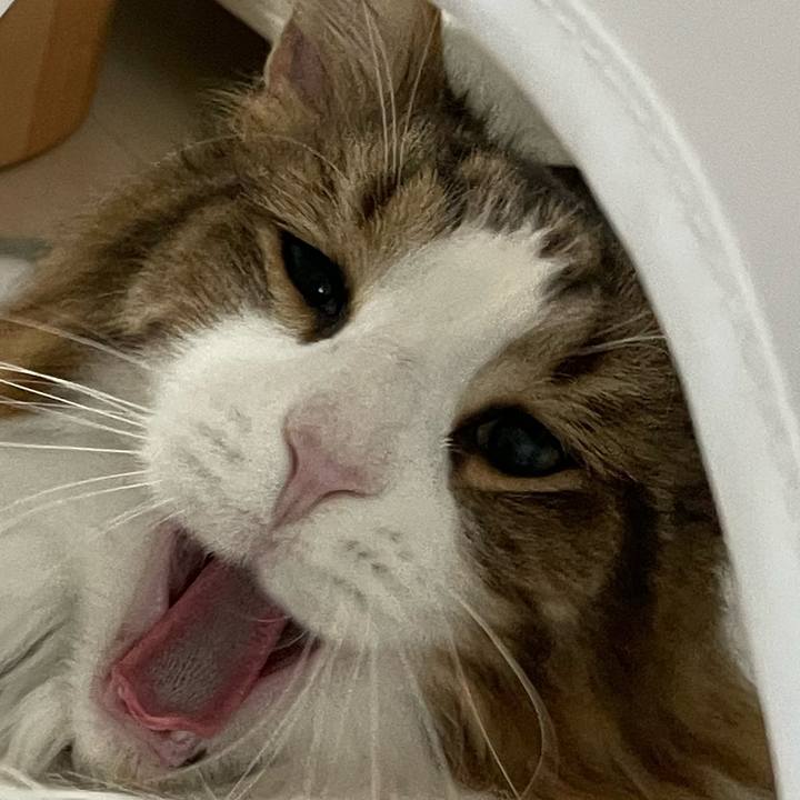 A52f2336 a895 46ee b8f2 7ab48152d650 1689374204763