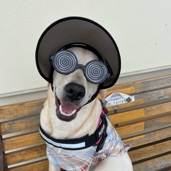 A52f7a8d e04d 4020 8301 f627b032cf81 1622605205678