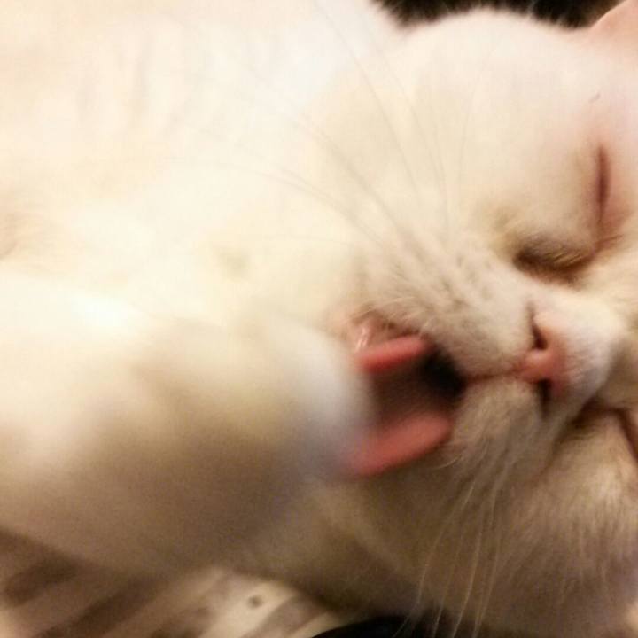 A5305afc 85f5 4a34 add8 bcc5d3572533 1549110343512