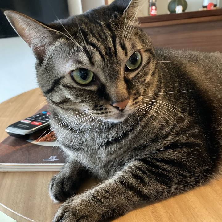 A5305d1a dc34 4826 8b8f 6fe2330a940d 1632528722056