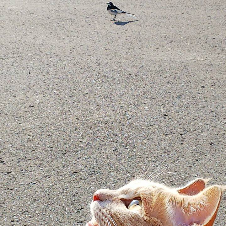 A5307711 3e4e 4801 b954 626aedee60e9 1562799732934