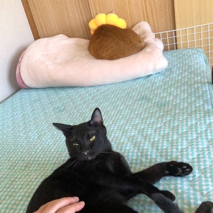 A530b643 b737 45e8 953c 1d282ec2cb33 1660270896092