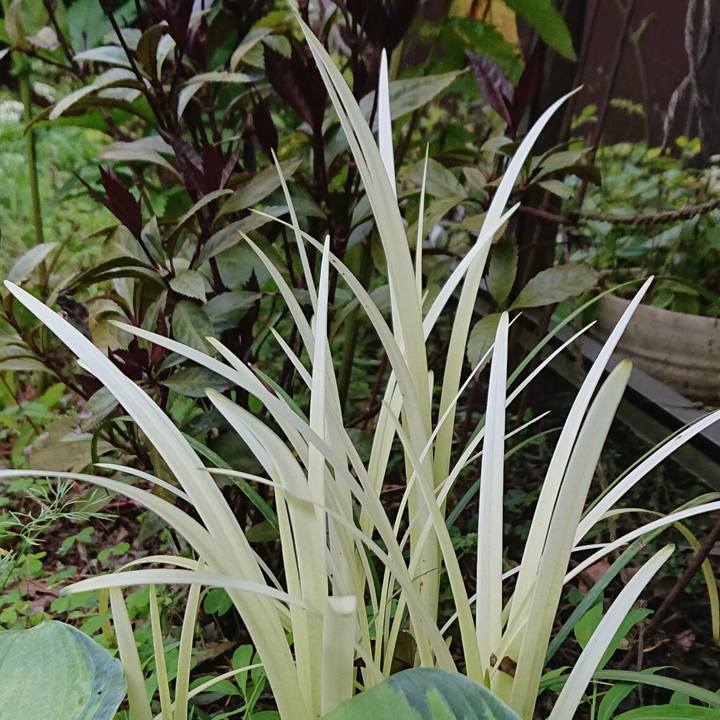 A530ba7a 9243 4a7a b49c 40617a38e183 1621513392675