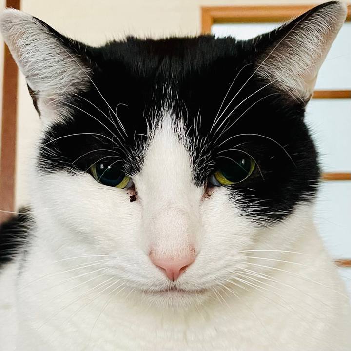 A530bb85 76c8 4338 8e2e 7b124d12c538 1610762434302