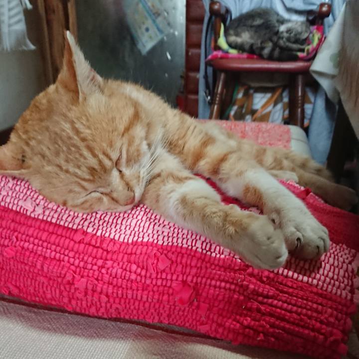 A530c927 d65a 448c a319 781fd06b18aa 1554612599758