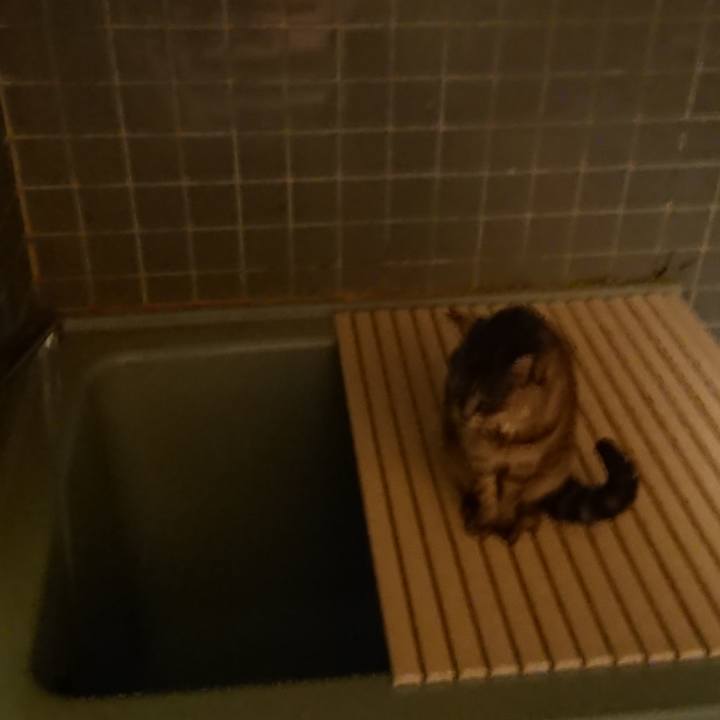 A5314e80 10e4 408d 9912 aea9a7df44db 1572512991130