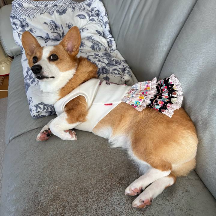 A5316c36 9d23 4a2c afaf 50e71c4c5fdd 1759879546409