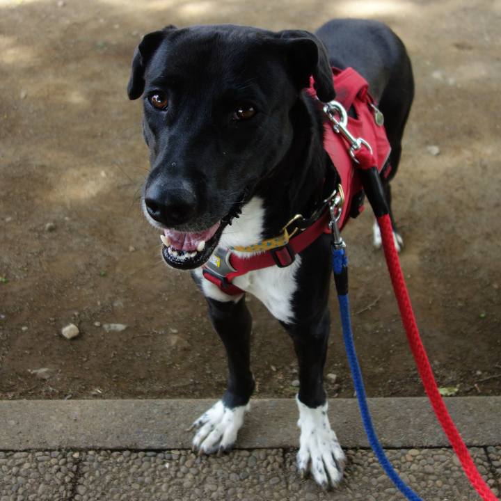 A531a145 35cc 499d bc63 2c14516fd3bb 1589073658858