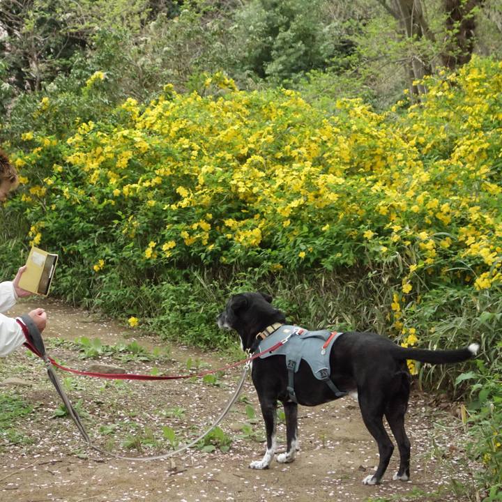 A531a422 a2fe 4d73 9258 80704737eb9a 1744500867226