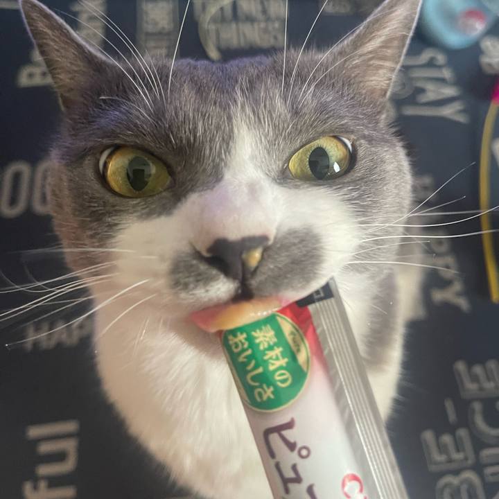 A531b67d fc79 44f2 94f3 00af7ed0f3b5 1718003091034