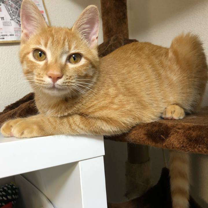 A531ec7e 26d1 4752 9d53 a97973f15140 1570783611996