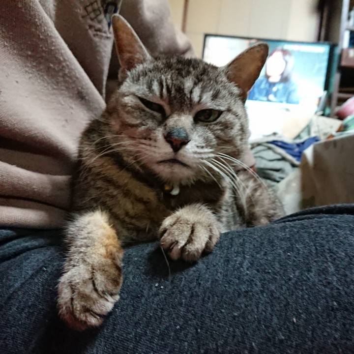 A531ed02 86eb 4de8 a3ef 42ffe960d189 1560254079857