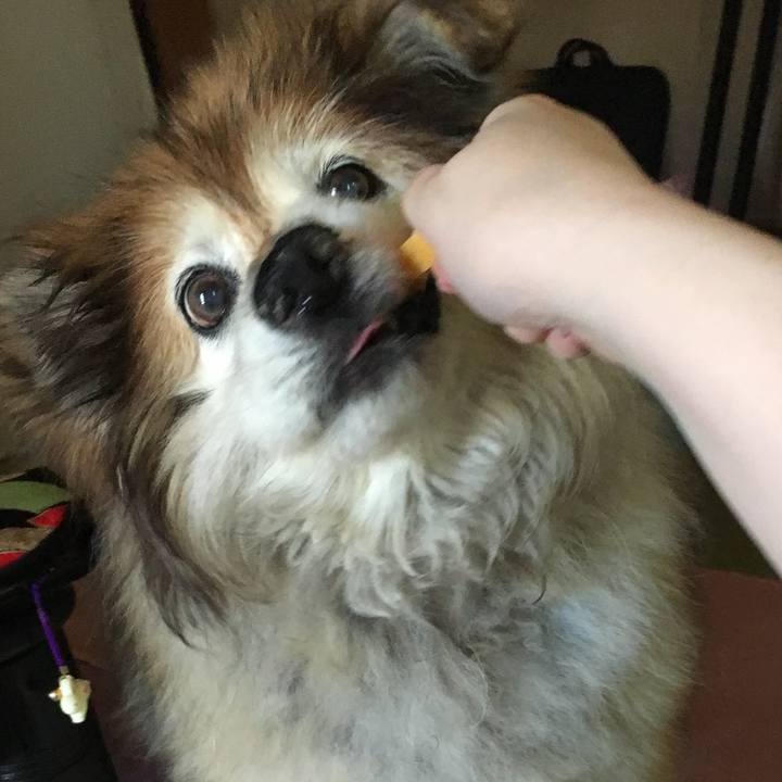 A532340f 277c 4218 a245 1f62c58b6f0a 1593415597304