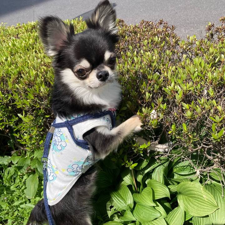 A532a7b2 6894 4425 a704 731a9d33197f 1620014988809