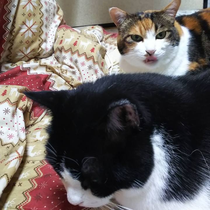 A532bf5d 75f2 4175 a8d4 10d6b49d83eb 1568418362765