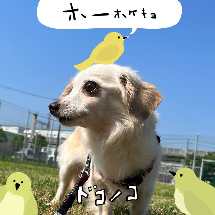 A532c1b2 245f 448a a22a b34553b18fda 1711253831832