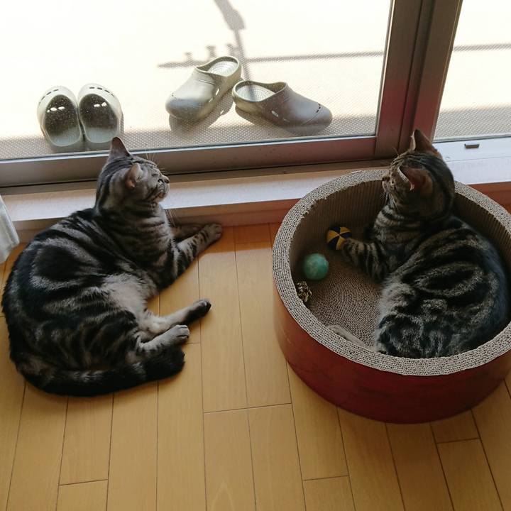 A532c3e4 d88d 4c8d 891b 9b60d8d36fa7 1523247064766