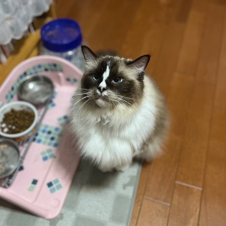 A532cf54 52b6 4c3b ae01 40c0a4f44d76 1694957945969