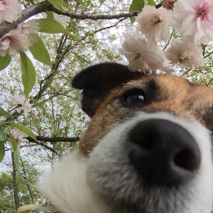 A532ebaf 568f 4db8 98a0 058a944df34c 1523095615167