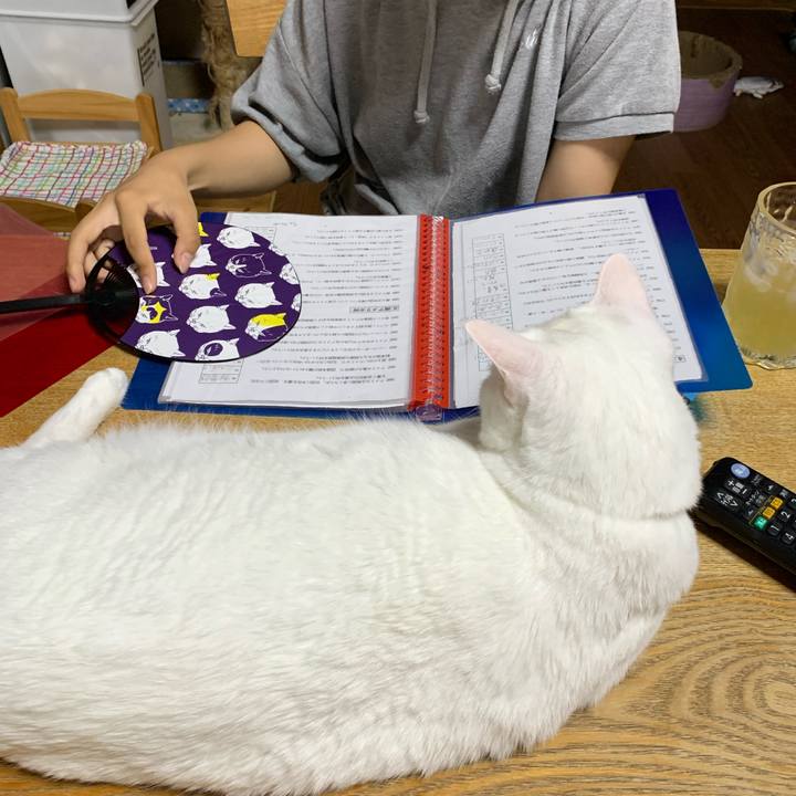 A532fcfe 0669 4091 8e4b 0f1e7c7b8e78 1628168527288