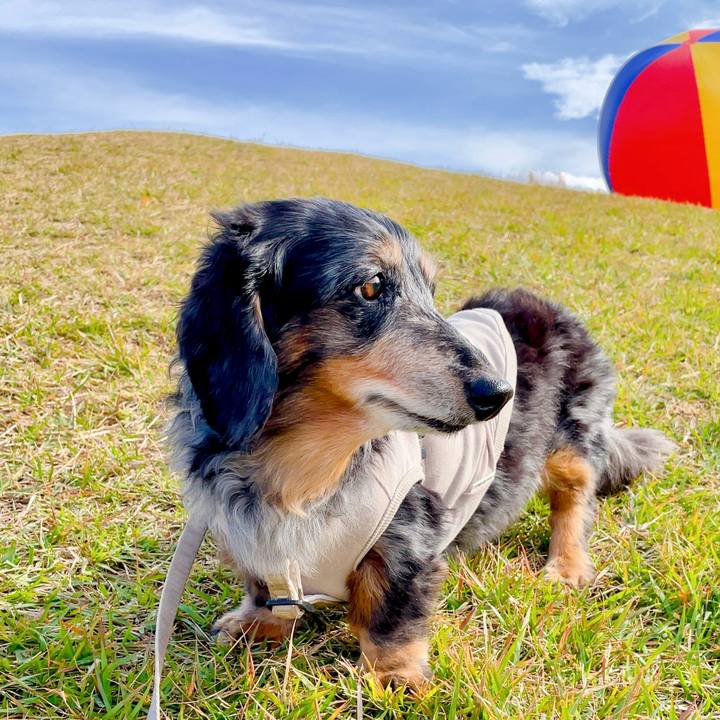 A5330a93 1cf6 4236 a7a7 13ba74dccf5a 1759320664368