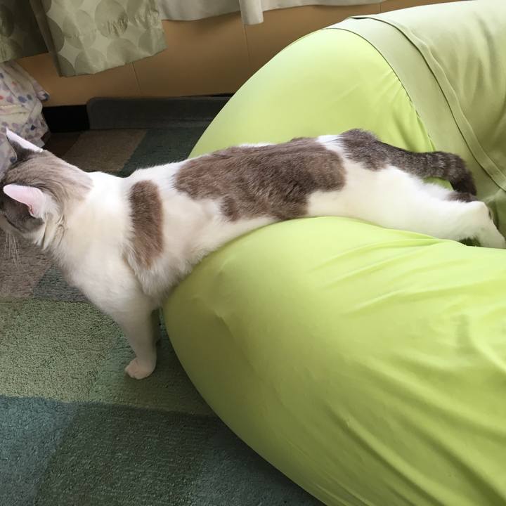 A5331883 78b3 4653 bbdf 6e6e7b33b35e 1553232801204