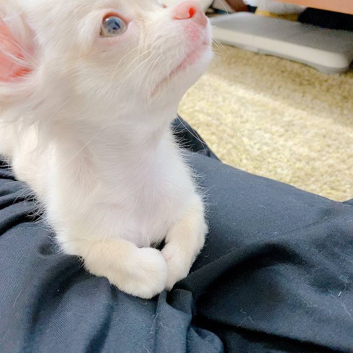 A5333fe6 6d9f 464d 9c5b 648fb4169743 1590740475993