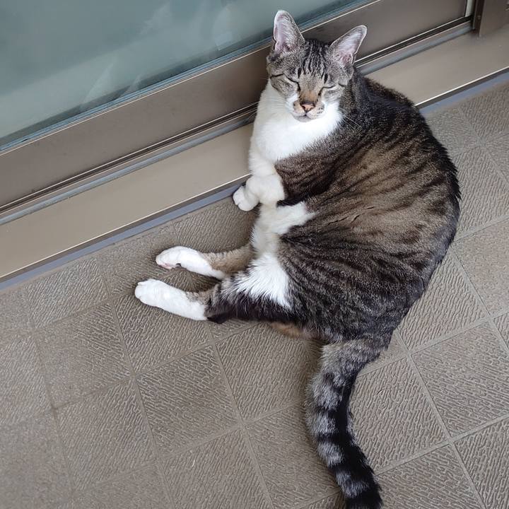 A5334e12 8ff1 4891 95b9 ffba8b70db2e 1712289331677