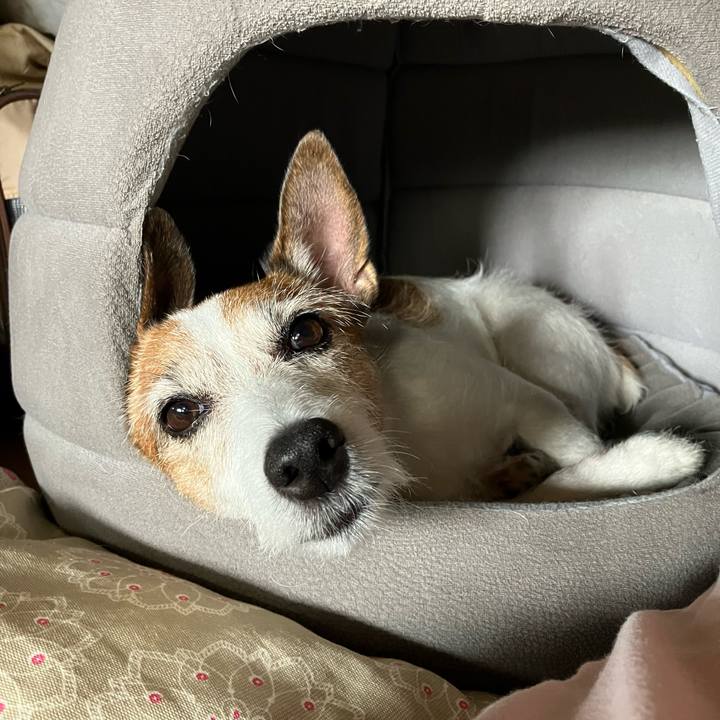 A5335534 f6b4 4bc6 a9d6 fe03eec592bb 1664321054445