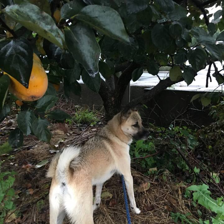 A533828e 2e12 4f57 8a66 efc1442cd7aa 1508662329045