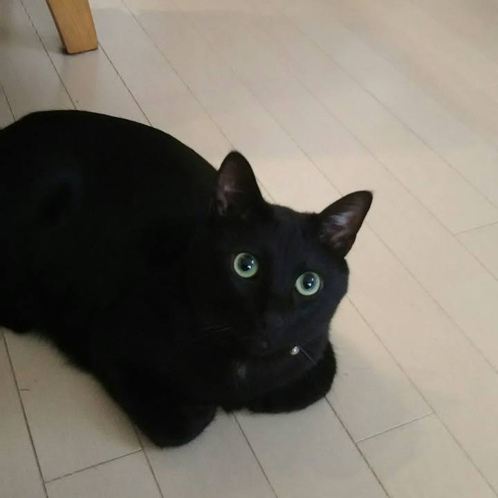 A53431cf e311 4065 9e6a bf6aa897420a 1547854795216