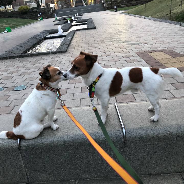 A5344dc3 3dcd 41f4 bb69 c19e50d3eb76 1521267279603