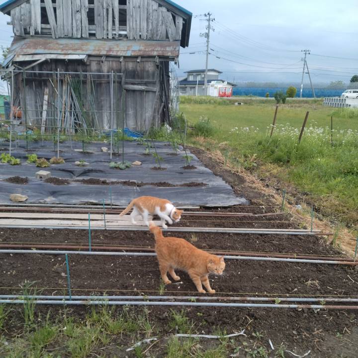 A5347f6e c819 4b5b a6c6 6583adb19c5d 1747901729436