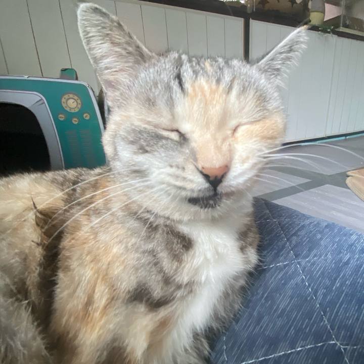 A534aa85 6270 4d71 acc4 b40107583dae 1665363438647