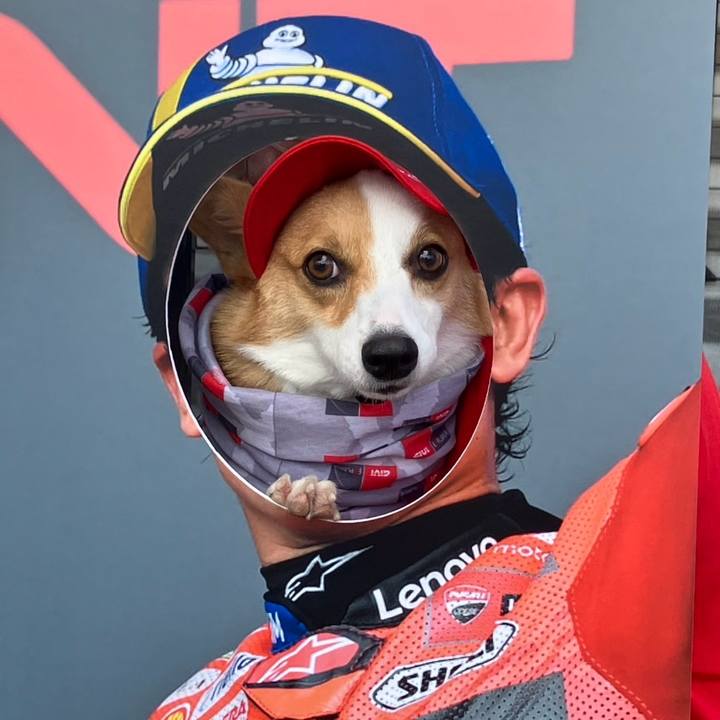 A534ab1d c595 4dae bdaa 5216d99e3c3d 1758864827637