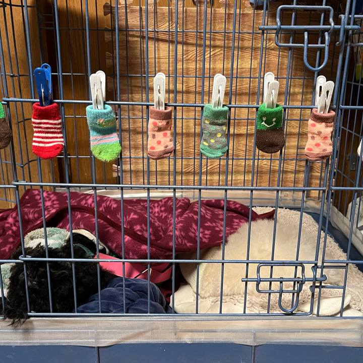 A534b425 9a29 4f0b 9071 517a0a723756 1766651441975