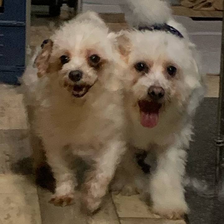 A534c8de 4458 4647 914c a8e980fcf2a4 1683973366157