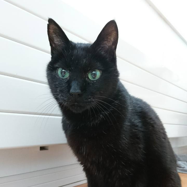 A534dd99 f5f6 49d0 80de 227a850851bd 1550821858593